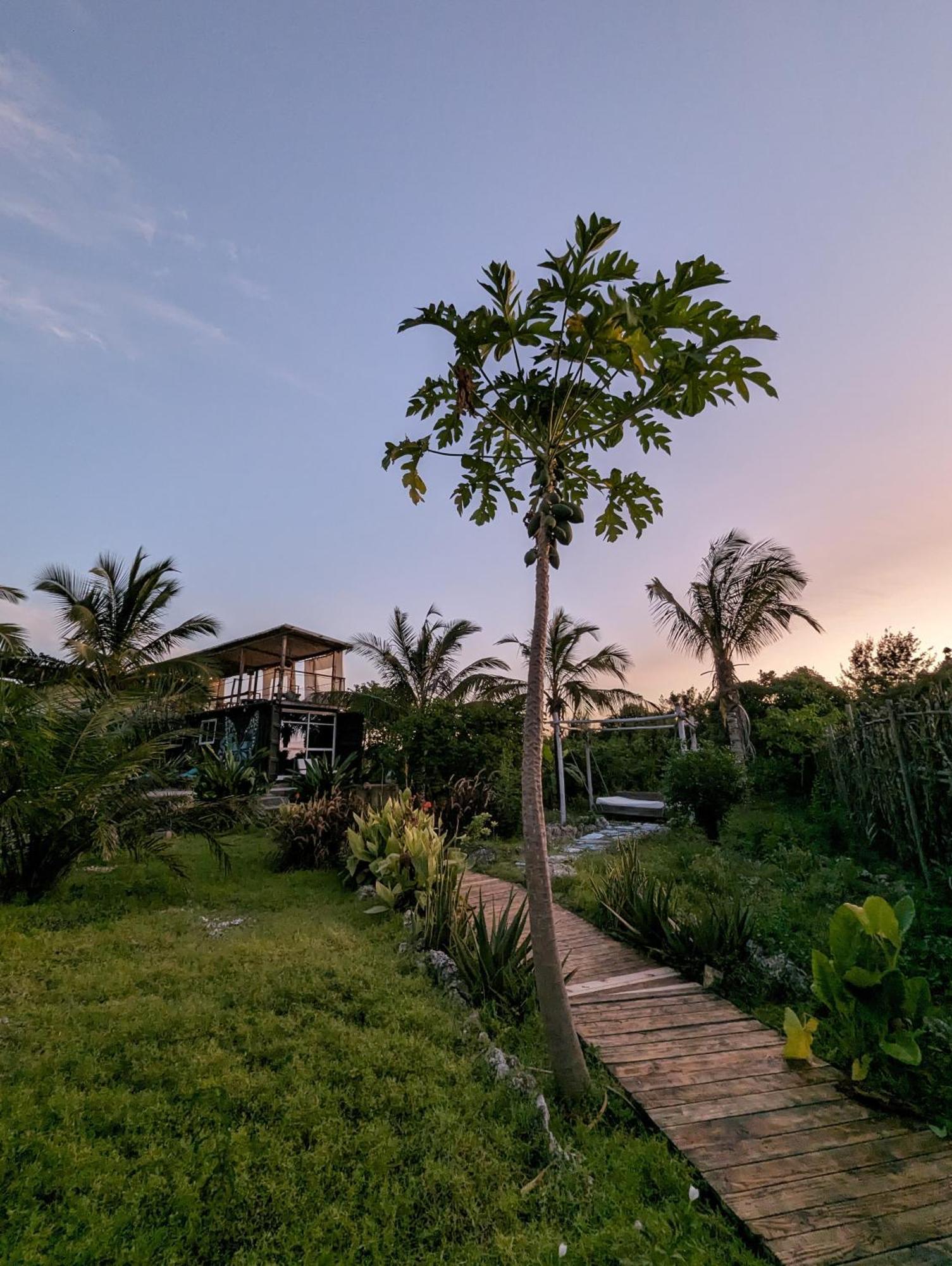 Jambiani Backpackers Hostal *